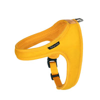 Charlie's Backyard TOWN HARNESS / YELLOW