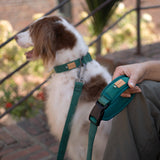 Charlie's Backyard TOWN LEASH / GREEN