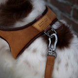 Charlie's Backyard TOWN HARNESS / BROWN