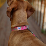 Charlie's Backyard Trip Collar for Dogs (Pink)