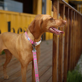 Charlie's Backyard Trip Collar for Dogs (Pink)