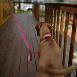 Charlie's Backyard Trip Collar for Dogs (Pink)