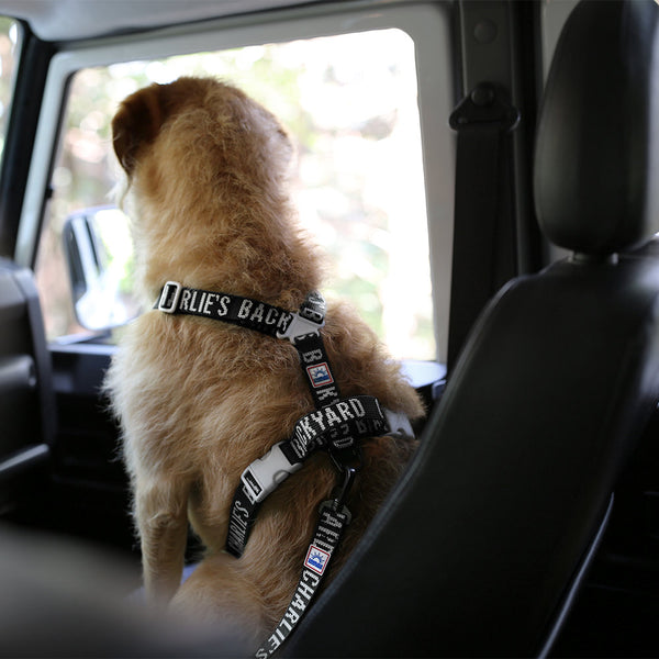 Charlie's Backyard Trip Seat Belt