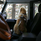 Charlie's Backyard Trip Seat Belt