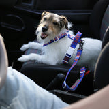 Charlie's Backyard Trip Seat Belt