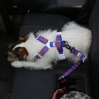 Charlie's Backyard Trip Seat Belt