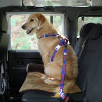 Charlie's Backyard Trip Seat Belt