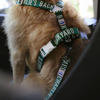 Charlie's Backyard Trip Seat Belt