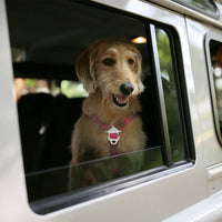 Charlie's Backyard Trip Seat Belt