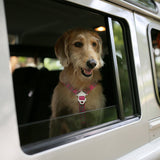 Charlie's Backyard Trip Seat Belt