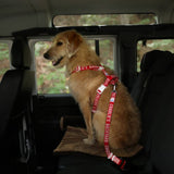 Charlie's Backyard Trip Seat Belt