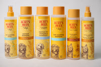 Burt's Bees for Cats Hypoallergenic Shampoo 10fl oz 296ML