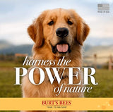 Burt's Bees for Dogs Natural Itch Soothing Shampoo with Honeysuckle | Anti-Itch Dog Shampoo for All Dogs with Dry, Itchy, and Sensitive Skin | Cruelty Free, Sulfate & Paraben Free - 32 Oz