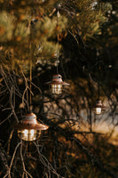 Barebones Living Edison String Lights